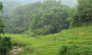 Tổng quan về tài nguyên thiên nhiên của tỉnh Phú Thọ