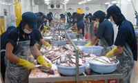 Vietnam appreciates US Senate’s vote to end catfish inspection