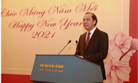 Thứ trưởng Ngoại giao Nguyễn Quốc Dũng gặp gỡ báo chí nước ngoài nhân dịp Năm mới 2021