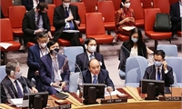 Việt Nam và Hội đồng Bảo an Liên hợp quốc: Những bước tiến dài khẳng định vị thế