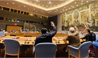 Hội đồng Bảo an thông qua nghị quyết liên quan tới Afghanistan và tăng cường các biện pháp cấm vận vũ khí bất hợp pháp