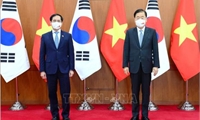 Bộ trưởng Ngoại giao Việt Nam hội đàm với Bộ trưởng Ngoại giao Hàn Quốc