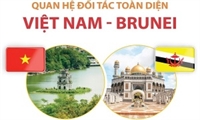 Quan hệ đối tác toàn diện Việt Nam-Brunei