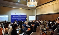 Viet Nam needs national action plan to promote responsible business practices: workshop