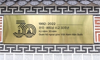 Tình hữu nghị 30 năm Việt Nam-Hàn Quốc qua thiết kế logo đặc biệt
