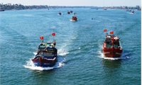 Hội Nghề cá Việt Nam: Lệnh cấm đánh bắt cá trên Biển Đông của Trung Quốc là sai trái và vô giá trị