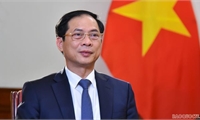 Bộ trưởng Bùi Thanh Sơn gửi thư chúc mừng 77 năm ngày thành lập ngành Ngoại giao