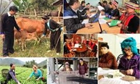 KẾ HOẠCH Truyền thông thực hiện Chương trình mục tiêu quốc gia phát triển kinh tế - xã hội vùng đồng bào dân tộc thiểu số và miền núi tỉnh Phú Thọ giai đoạn 2021 - 2025
