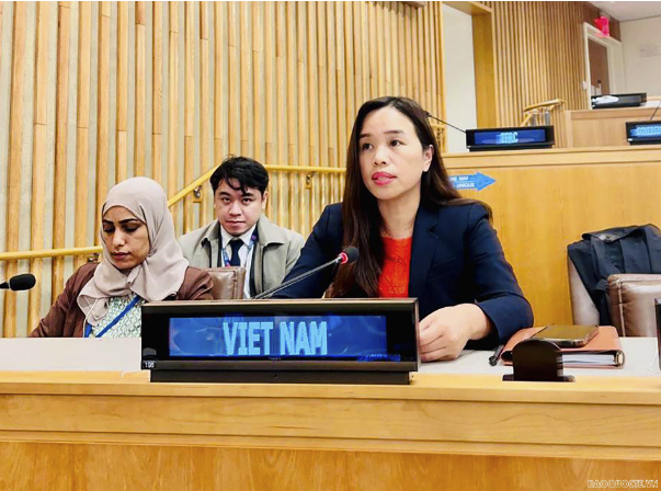Vietnam calls for budget guarantee for UN development system