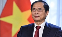 Ngoại giao Việt Nam năm 2022: Phát huy mạnh mẽ bản sắc 'cây tre Việt Nam'