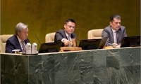 Việt Nam cùng các nước thúc đẩy Nghị quyết đề nghị Toà án quốc tế cho ý kiến tư vấn về biến đổi khí hậu