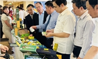 Hội nghị kết nối giao thương tại Phú Thọ