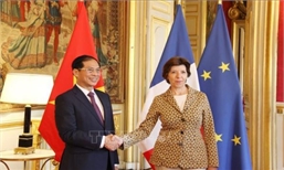 Việt Nam và Pháp mong muốn đưa hợp tác song phương lên tầm cao mới