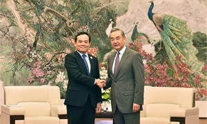 Viet Nam treasures comprehensive strategic cooperative partnership with China