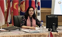 Lần đầu tiên Việt Nam có ứng cử viên vào vị trí Giám đốc Văn phòng khu vực Tây Thái Bình Dương của WHO