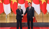 President of Japan's House of Councillors concludes Vietnam visit