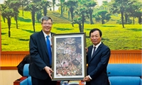 Chủ tịch UBND tỉnh làm việc với Hiệp hội Doanh nhân và Đầu tư Việt Nam - Hàn Quốc