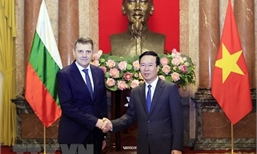 President receives newly accredited foreign ambassadors