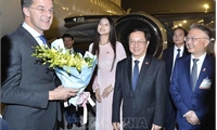 Dutch Prime Minister begins official visit to Vietnam