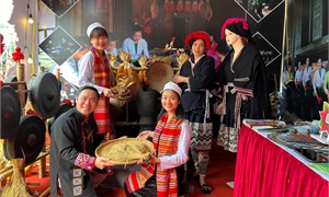 Phu Tho takes part in the 2023 Expanded Northwest Provinces Community Tourism Village Festival