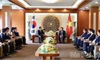 Provincial Party Secretary Bui Minh Chau receives and works with the working delegation of the Korean Ambassador to Vietnam
