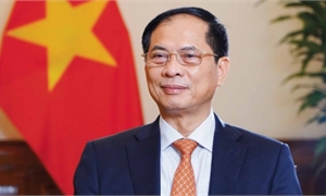 베트남 외교장관, 한국 공식 방문 시작