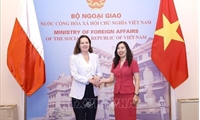 Vietnam, Poland convene deputy ministerial-level political consultation