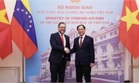 Vietnamese FM holds talks with Venezuelan counterpart
