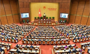 Tuyên truyền kết quả kỳ họp thứ 7 (Quốc hội khóa XV) và học tập, quán triệt, phổ biến Kết luận số 81-KL/TW của Bộ chính trị