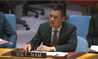 Vietnam backs efforts to improve peacekeeping operations' effectiveness, adaptability