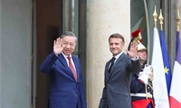 Vietnam, France issue joint statement on elevation of bilateral ties