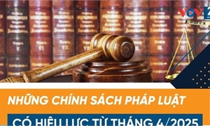 Chính sách mới có hiệu lực từ tháng 4/2025