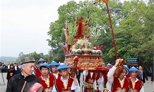 Overseas Vietnamese honour Hung Kings with ceremonies