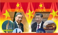 Vietnam-China ties to last through generations: Chinese friendship figure