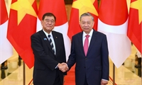 Party chief receives Japanese PM in Hanoi