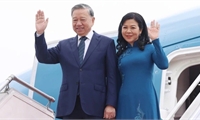 Affirming profound friendship between Viet Nam and traditional partners
