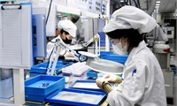 Phú Thọ: Đẩy mạnh ngoại giao kinh tế, xúc tiến đầu tư