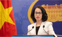 Over 450 Vietnamese citizens repatriated from Myanmar: Foreign Ministry
