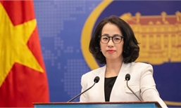 Over 450 Vietnamese citizens repatriated from Myanmar: Foreign Ministry
