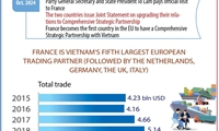 Vietnam-France Comprehensive Strategic Partnership
