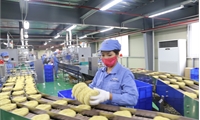 Revenue of enterprises in industrial parks reaches over VND 60 trillion in the first half of the year