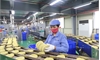 Revenue of enterprises in industrial parks reaches over VND 60 trillion in the first half of the year