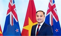 Viet Nam, New Zealand ties entering strongest phase: diplomat