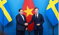 Viet Nam, Sweden upgrade ties to sectoral strategic partnership in sci-tech, innovation