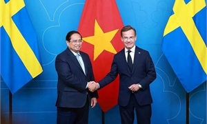 Viet Nam, Sweden upgrade ties to sectoral strategic partnership in sci-tech, innovation