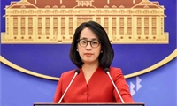 Việt Nam chính thức trở thành nước đối tác của nhóm BRICS