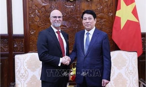 Chủ tịch nước Lương Cường tiếp các Đại sứ Canada, Iran