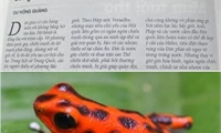 MẠNH MẼ MỚI CÓ HÒA BÌNH