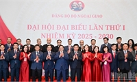 Chủ động, tích cực, thực hiện hiệu quả, thành công đường lối đối ngoại của Đảng, Nhà nước