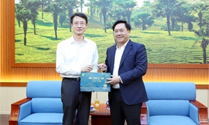 Chairman of Phu Tho Provincial People’s Committee works with leaders of Phu My Hung Development Company Limited